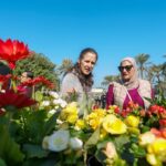 614866001_17989328042916188_2880793351184937447_n